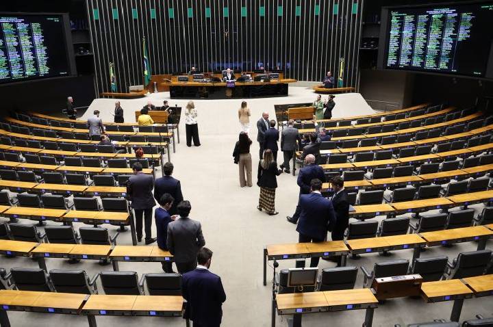 Câmara pode votar mudanças no Código Penal e suspensão da carteira de motorista por abandono de animais
