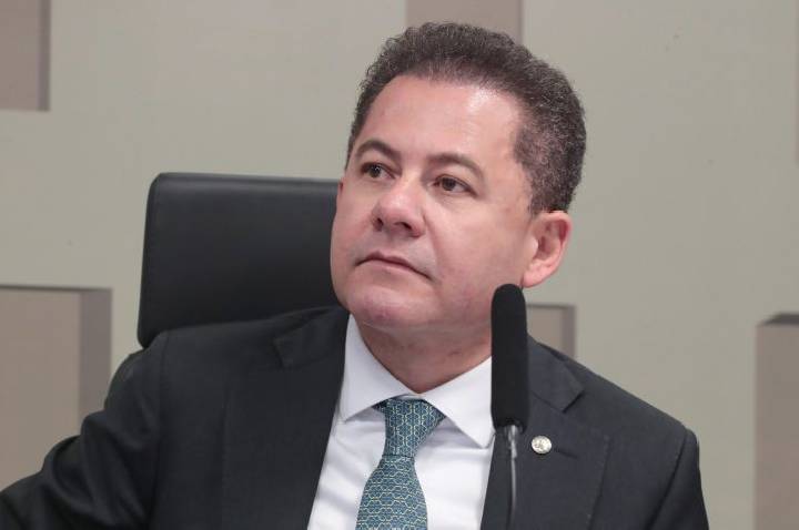 Comissão aprova selo Aeroporto Amigo do Pet para terminais com espaço destinado a cães e gatos