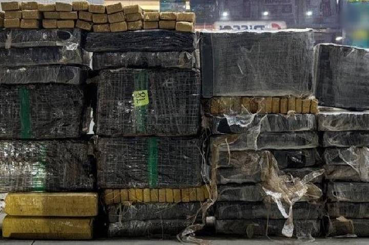 FICCO/PR apreende cerca de 700 kg de maconha