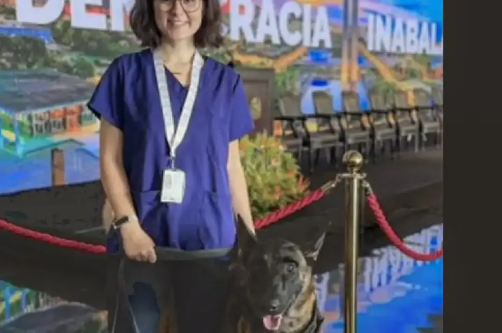 Morre veterinária atacada por cachorro no canil do Senado Federal 