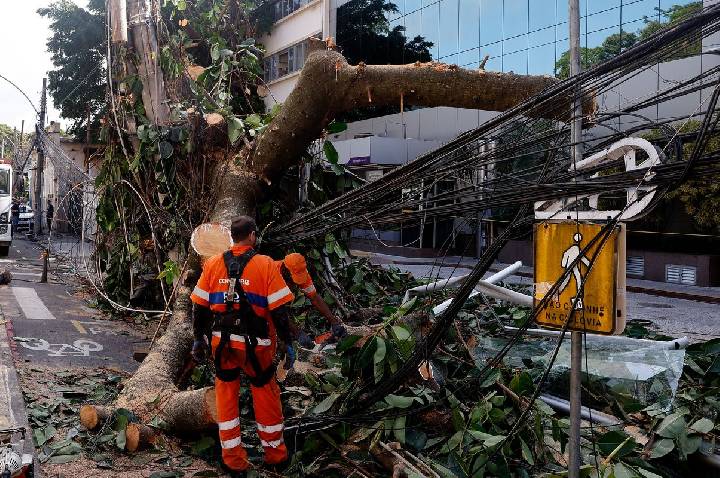 Rede elétrica mais resiliente requer investimento de concessionárias