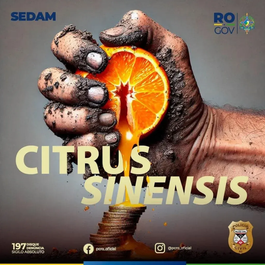 Polícia Civil desarticula esquema de desmatamento ilegal e lavagem de dinheiro em operação contra madeireiras