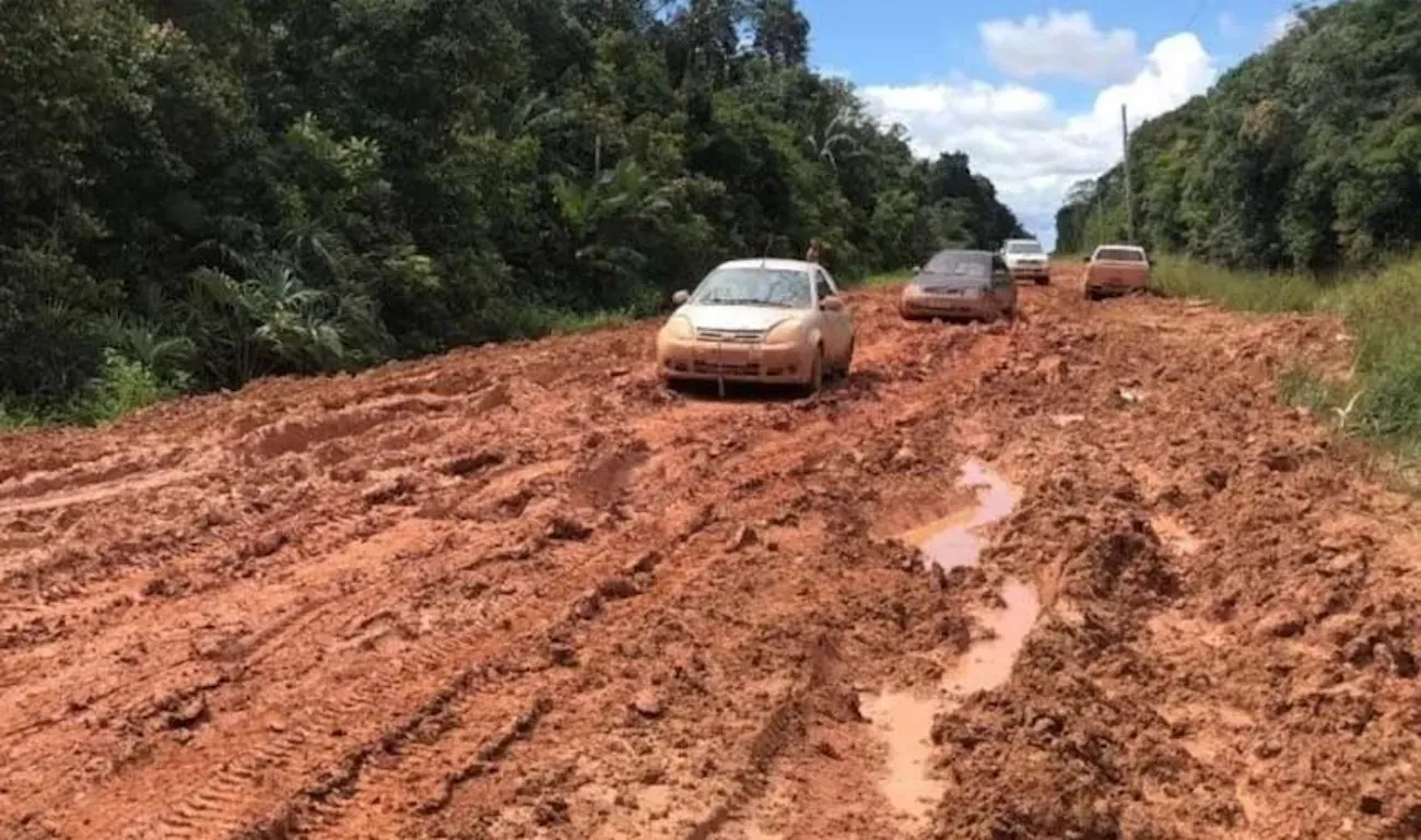 A BR-319 e a luta pelo desenvolvimento sustentável: Uma reivindicação antiga de Amazonas e Rondônia
