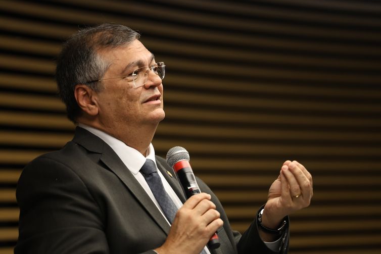 Dino diz que não cabe ao Judiciário redesenhar sistema tributário