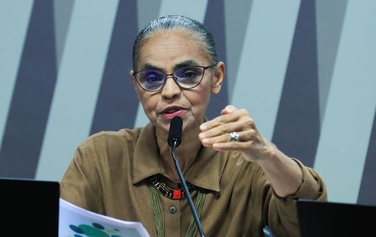Lula e Marina Silva conversam sobre ataques em comissão do Senado