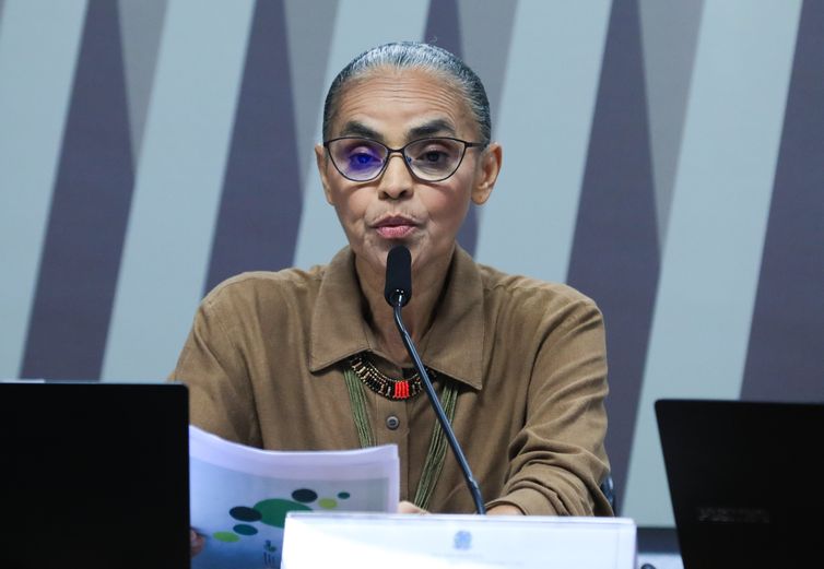 Oposição à proteção ambiental tenta silenciar Marina, dizem analistas