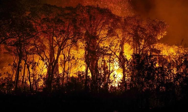 PF inicia operação de enfrentamento aos incêndios florestais na Amazônia e Pantanal