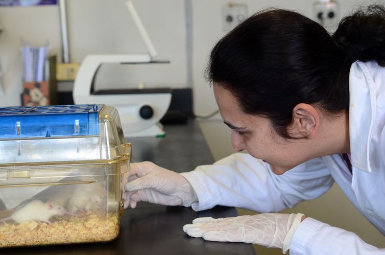Tecidos feitos em laboratório podem aperfeiçoar testes de medicamentos