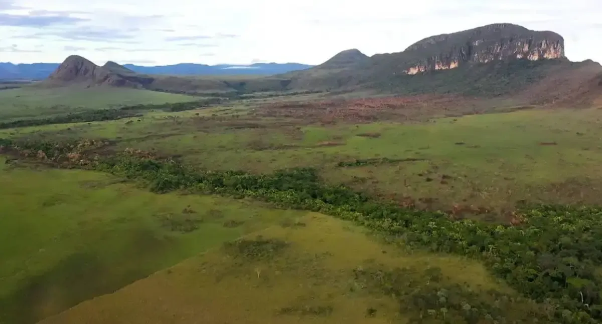 BNDES aprova R$ 150 milhões para prevenção e combate a incêndios
