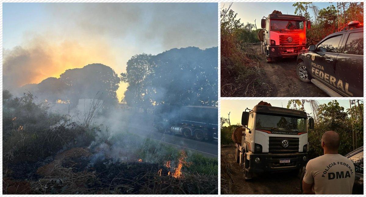 Operação Sentinelas da Amazônia 2025 flagra transporte ilegal de madeira em área protegida em Rondônia