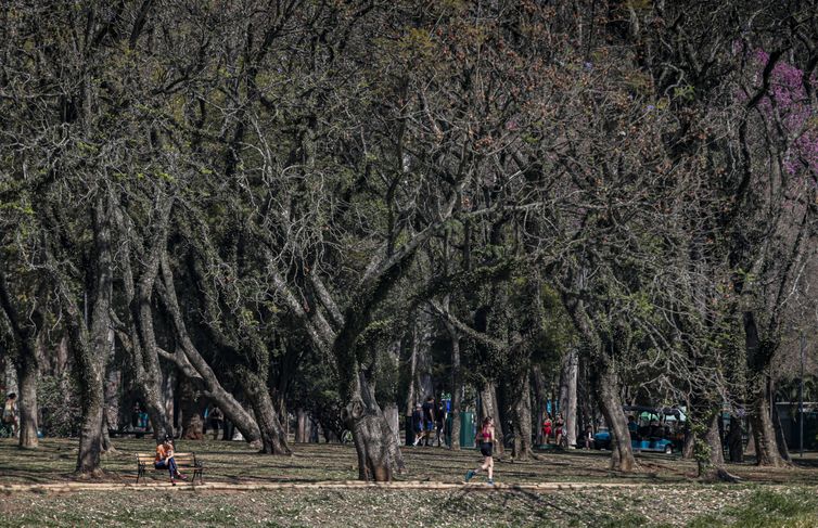 Cidade de São Paulo tem agosto mais seco desde 2020