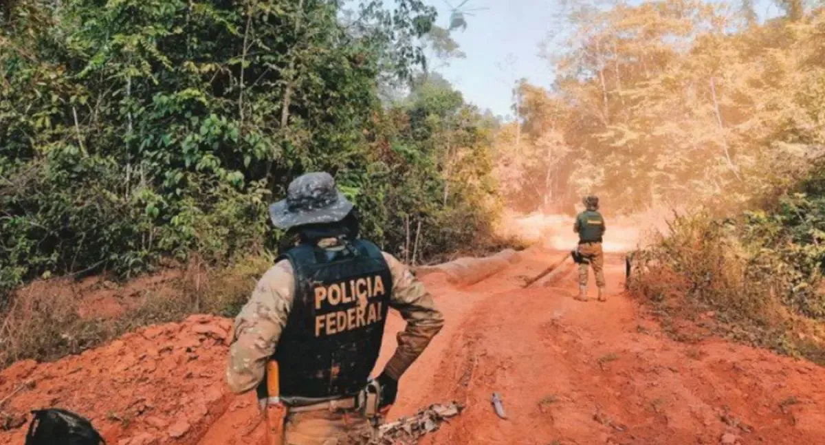 Fiscalização por instituições federais reduziu em 90% o desmatamento ilegal, queimadas e furto de madeira em Rondônia