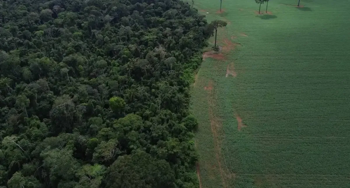 Caravana social viaja 3 mil km até a COP30 para denunciar agronegócio
