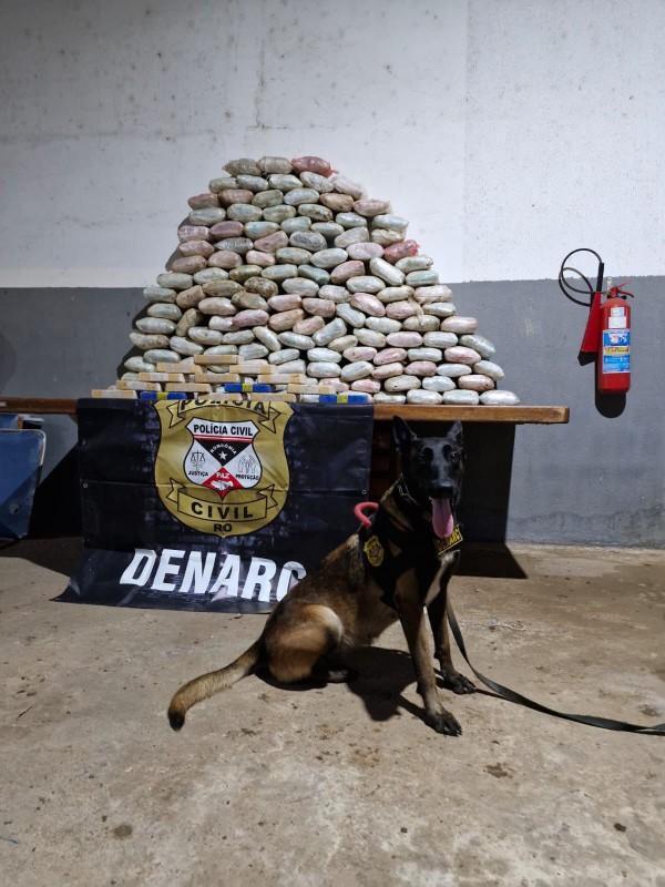 Denarc apreende mais de 150 kg de drogas e armas em operação com apoio de cães