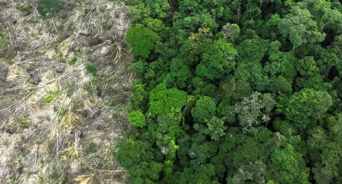 Mudanças climáticas afetam Amazônia Legal e cotidiano da população