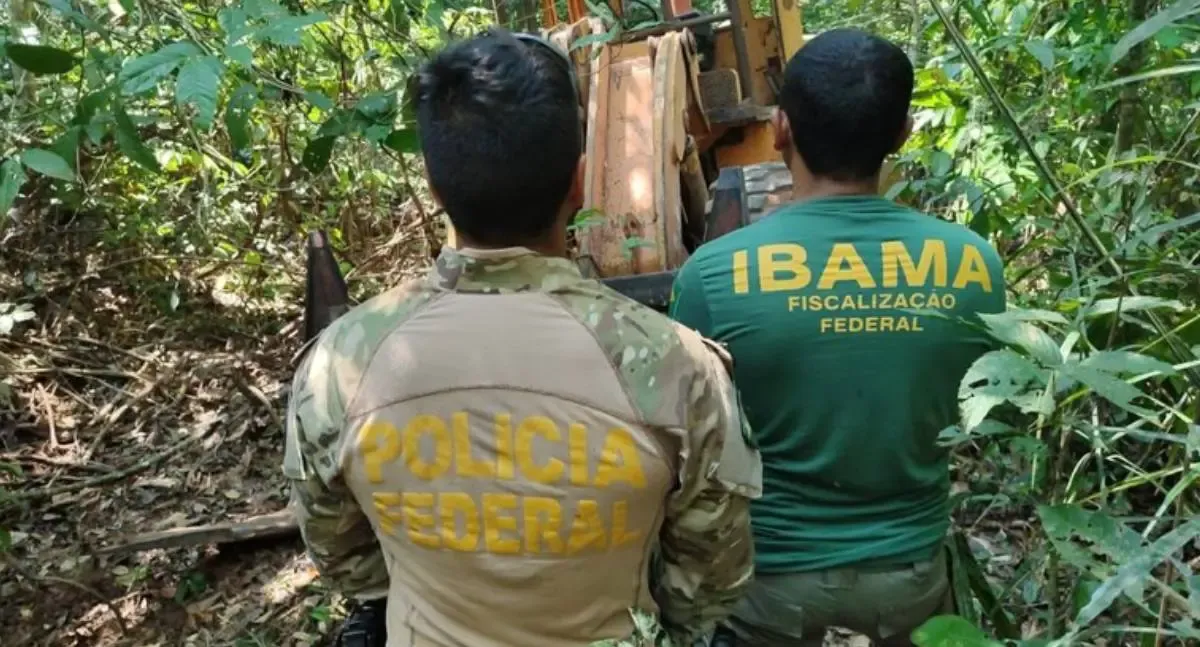 Polícia Federal desmantela serrarias clandestinas em Terra Indígena de Rondônia
