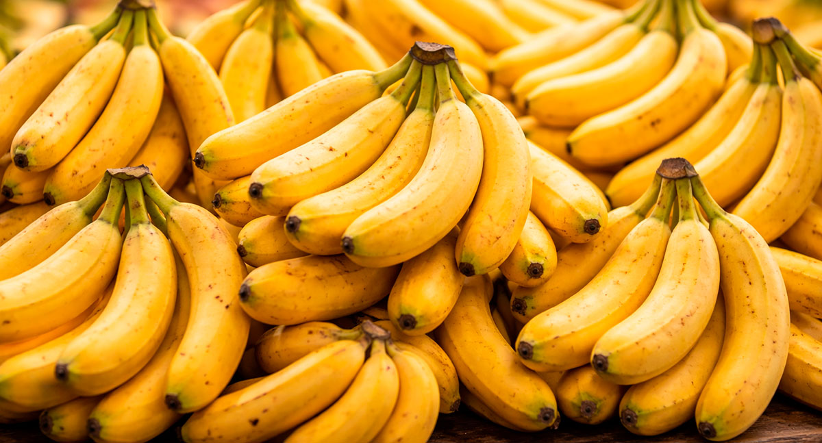 Boletim da Conab revela volume baixo de bananas comercializadas por Rondônia