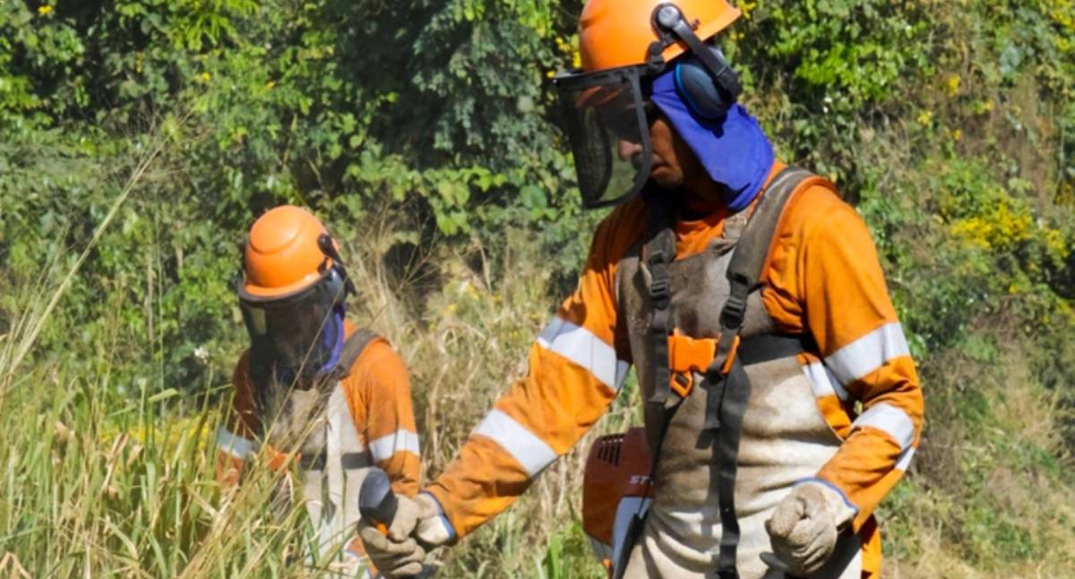 Nova 364 intensifica limpeza na BR-364, minimizando riscos de acidentes