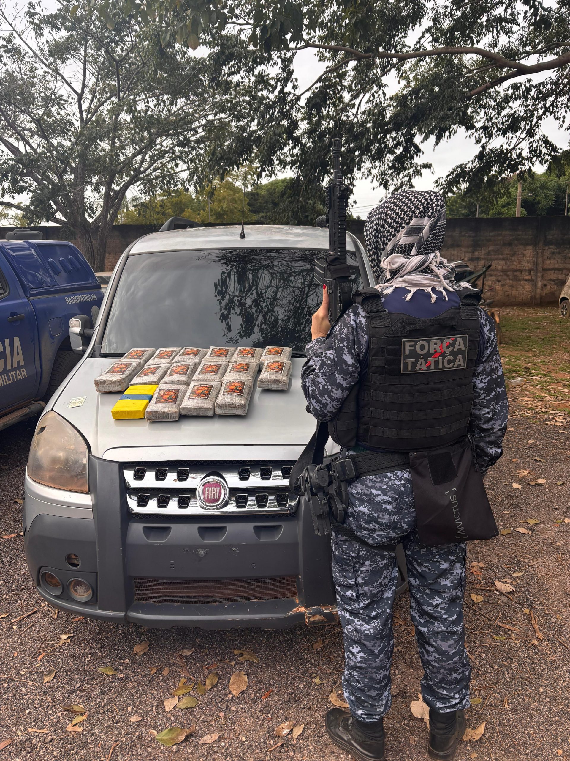 Drogas são apreendidas a desembarcarem no Brasil