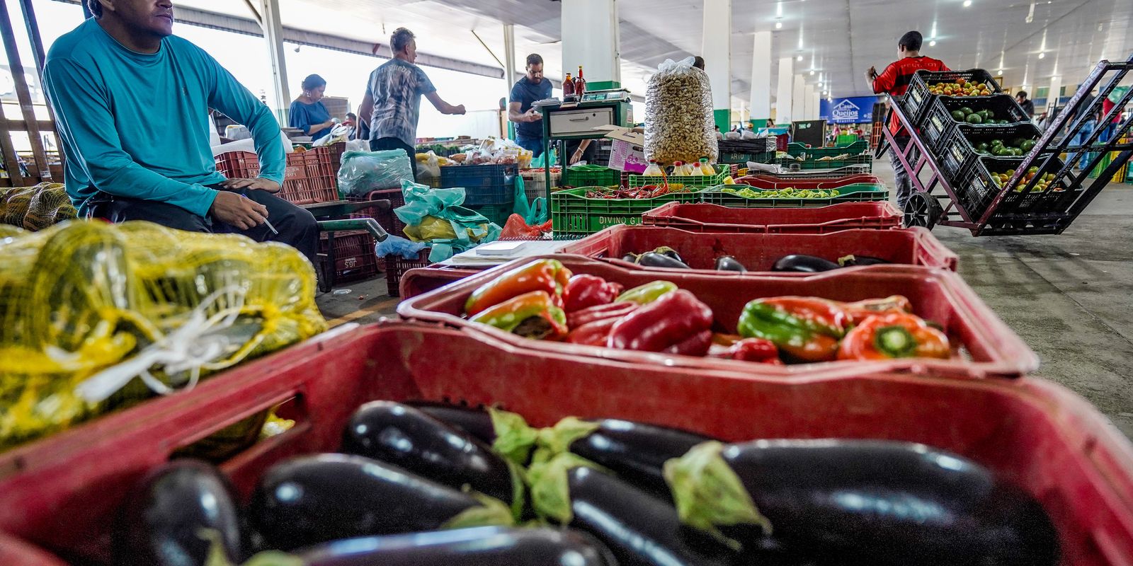 Campanha busca engajamento para reduzir desperdício de alimento