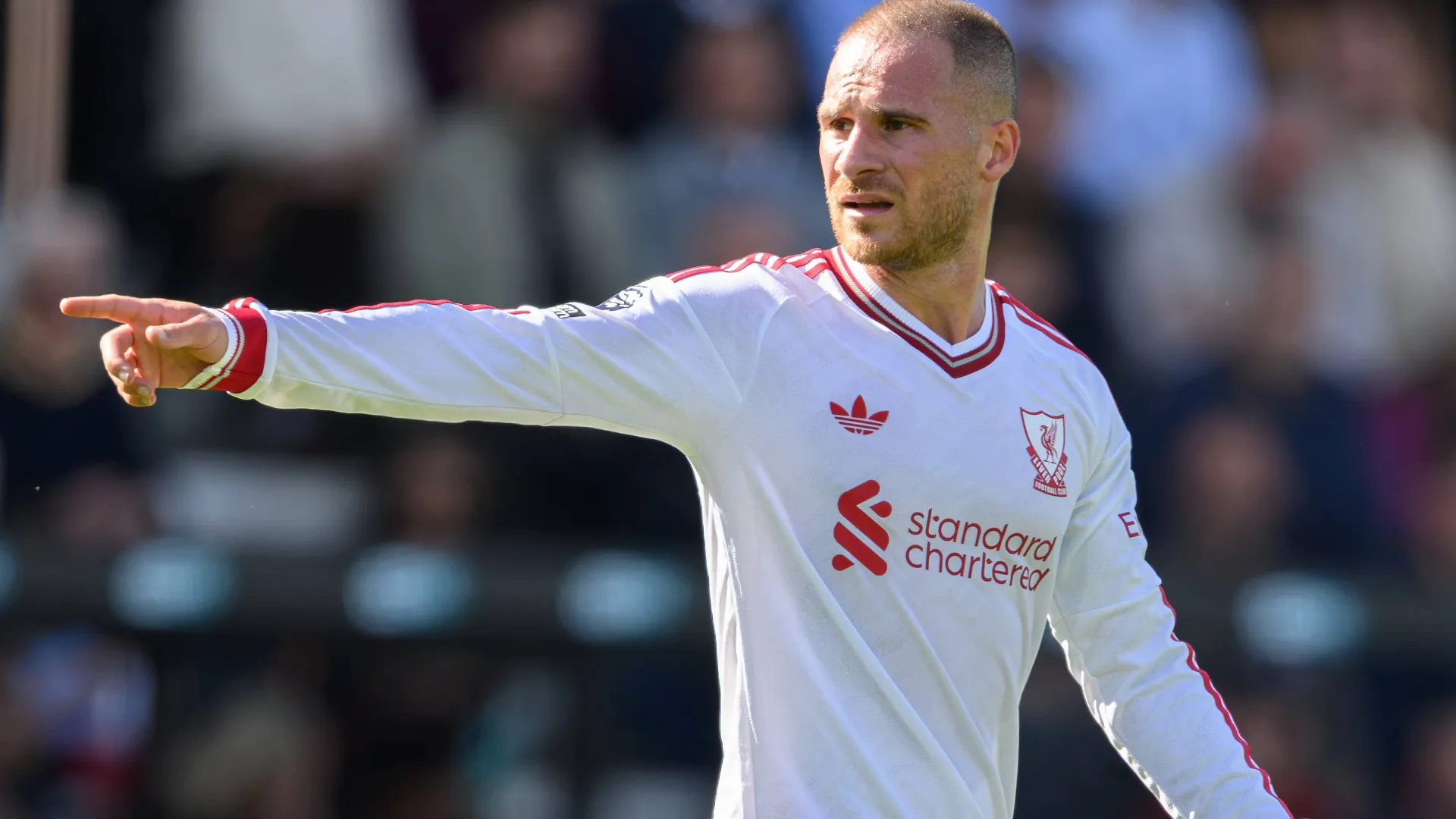 Liverpool: em que pé está a renovação de Mac Allister, decisivo nesta temporada?