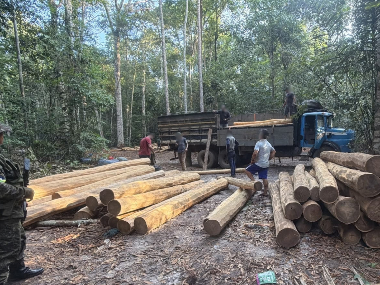 Polícia Ambiental apreende dois caminhões com madeira irregular em Vilhena